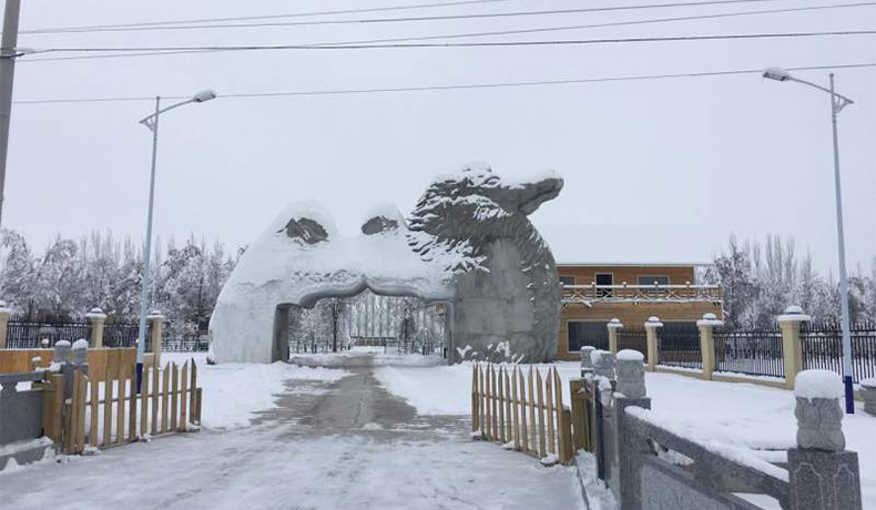 新疆大美丝路霍尔果斯营地